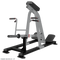 Nautilus Incline Lever Row