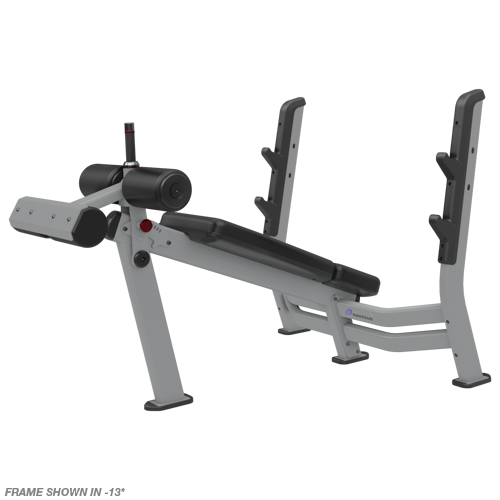 Nautilus Decline Bench Press