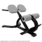 Nautilus Instinct 45° Back Extension
