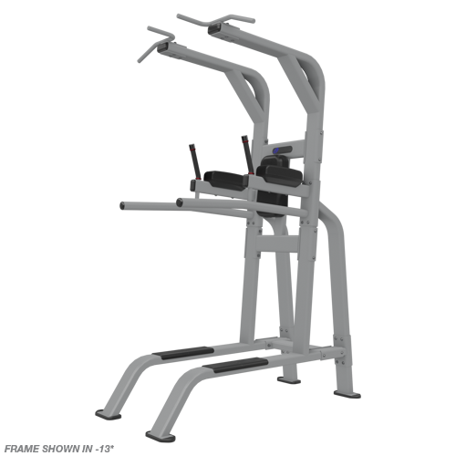 Nautilus Pull-Up/Dip/Leg Raise