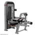 Nautilus Inspiration Tricep Dip