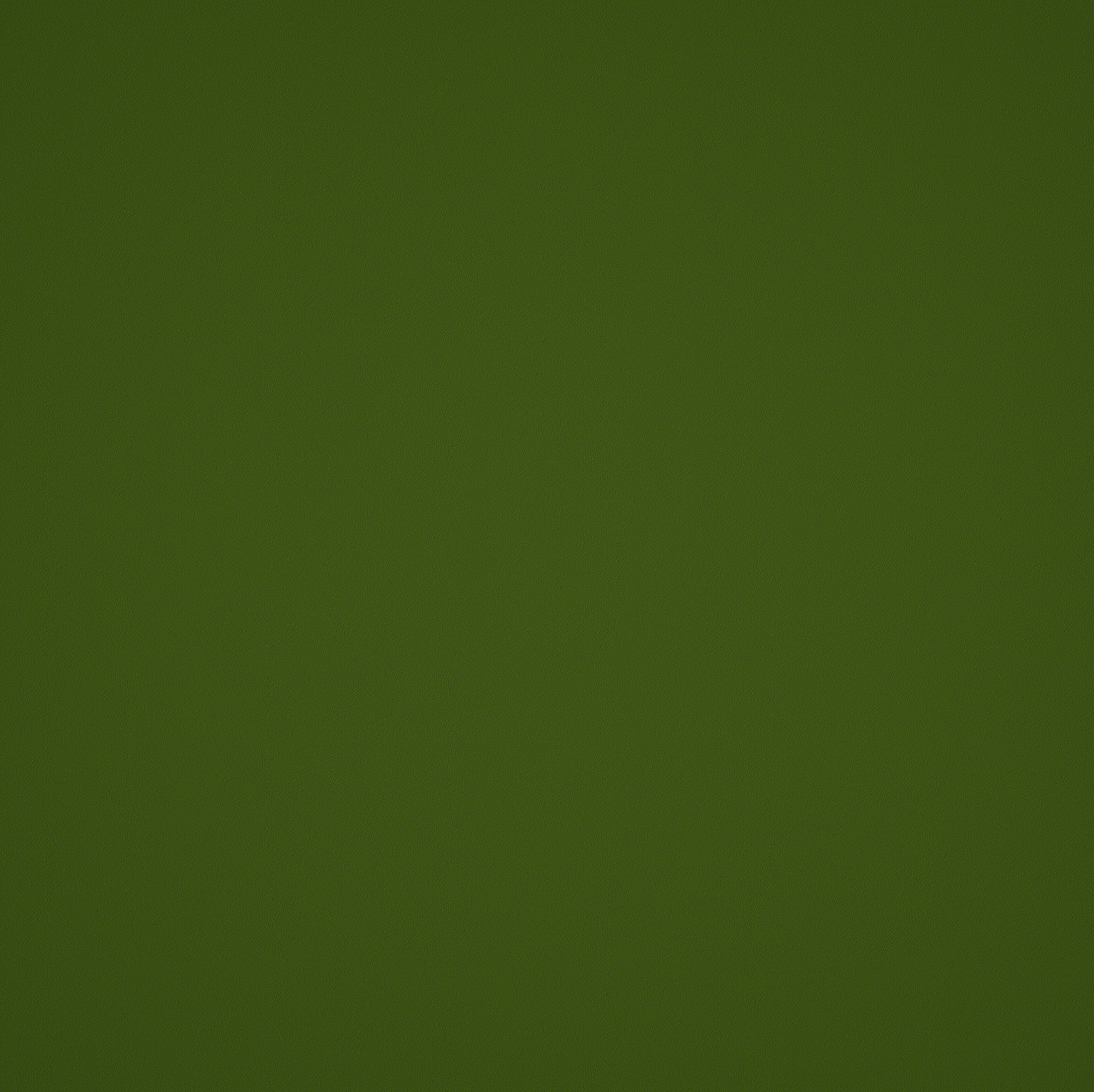 Elite Seamless Vulcanized Rubber Gym Flooring