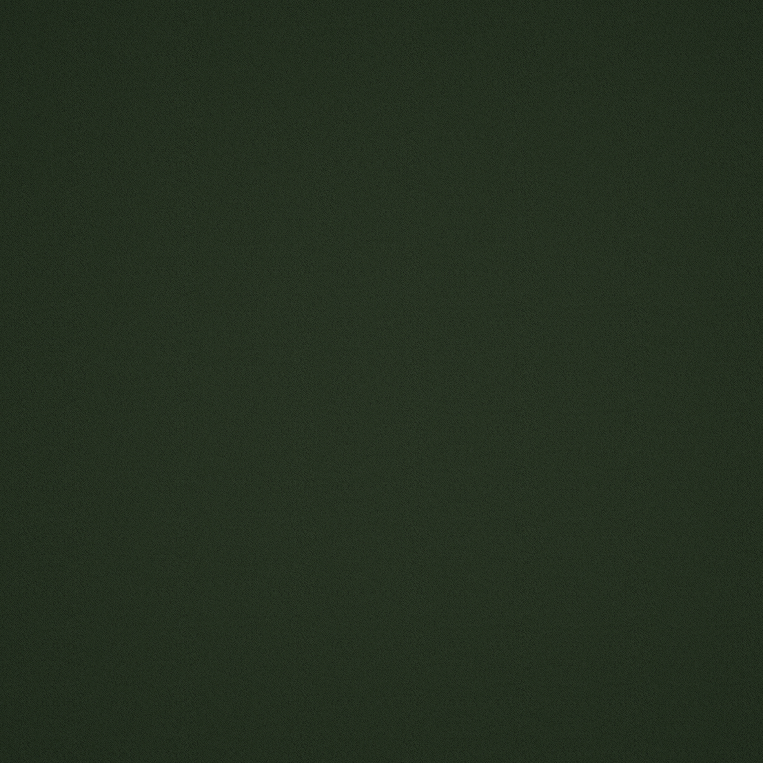 Elite Seamless Vulcanized Rubber Gym Flooring