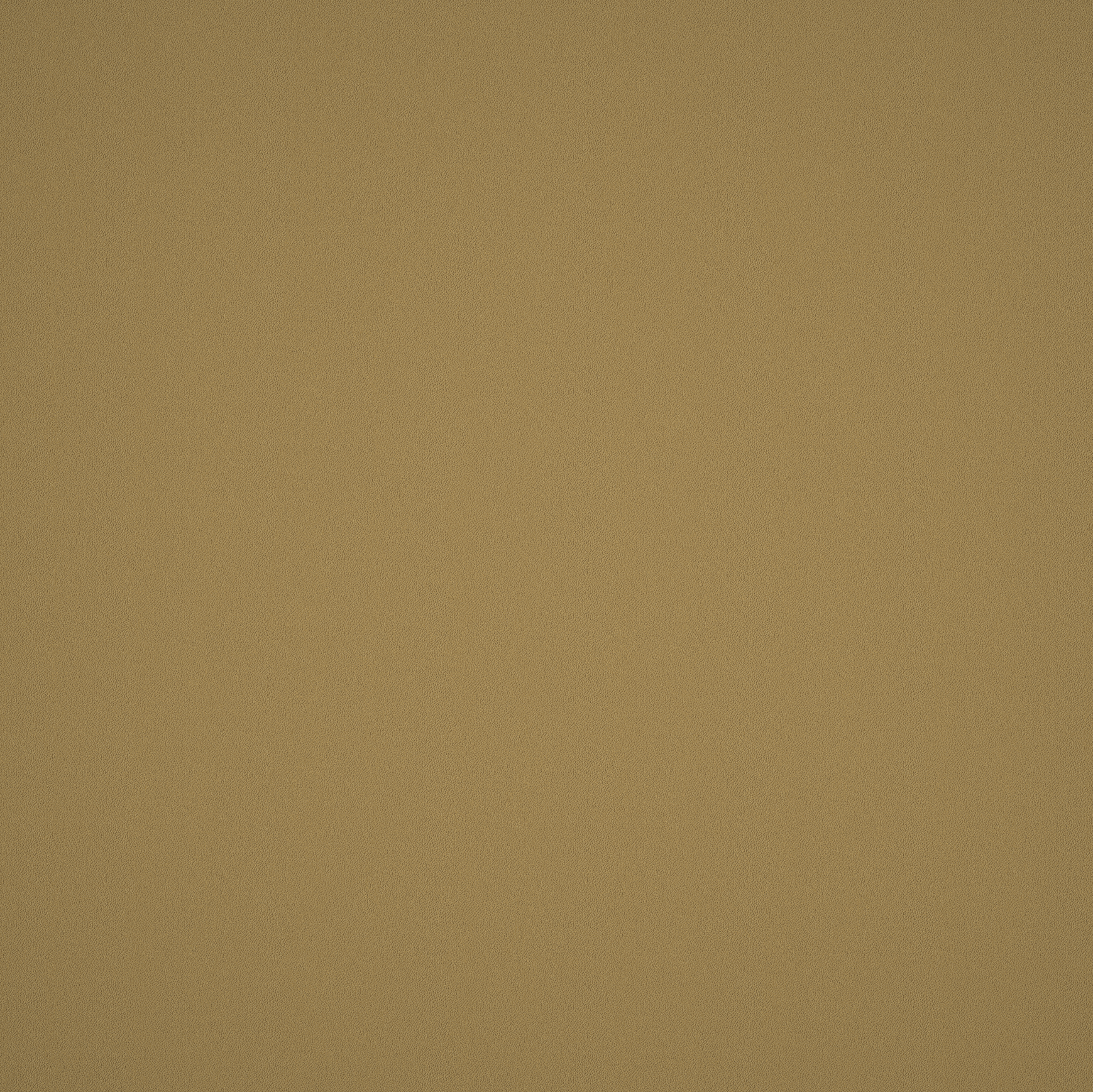 Elite Seamless Vulcanized Rubber Gym Flooring