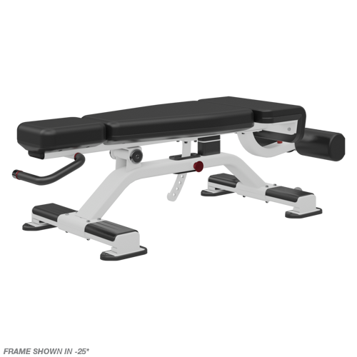 Nautilus Adjustable Decline Bench