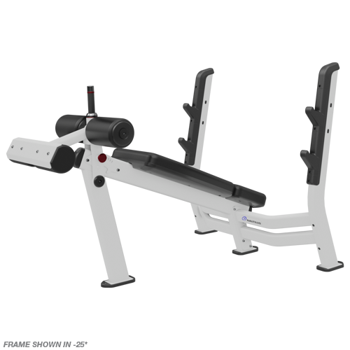 Nautilus Decline Bench Press