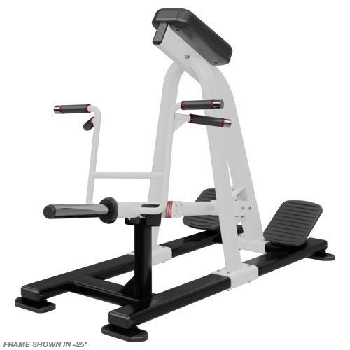 Nautilus Incline Lever Row