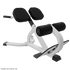 Nautilus Instinct 45° Back Extension