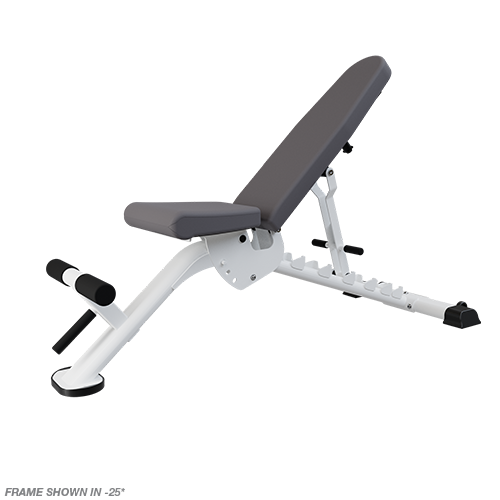 Nautilus Multi-Adjustable Bench 100