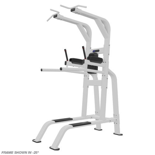 Nautilus Pull-Up/Dip/Leg Raise