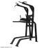 Nautilus Pull-Up/Dip/Leg Raise