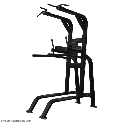 Nautilus Pull-Up/Dip/Leg Raise