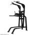 Nautilus Pull-Up/Dip/Leg Raise