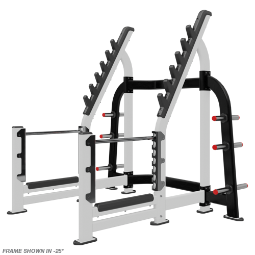 Nautilus Squat Rack