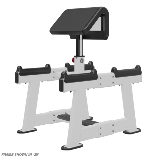 Nautilus Standing Preacher Curl