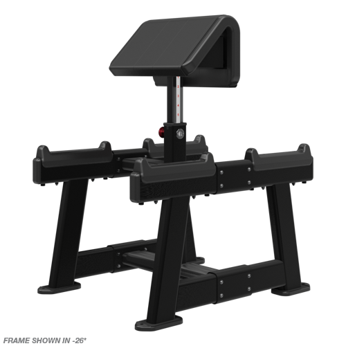 Nautilus Standing Preacher Curl