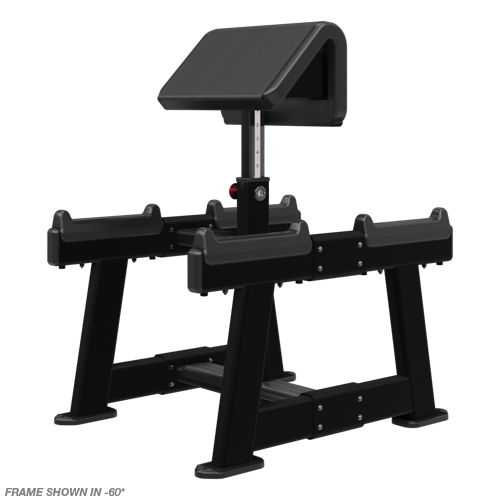 Nautilus Standing Preacher Curl