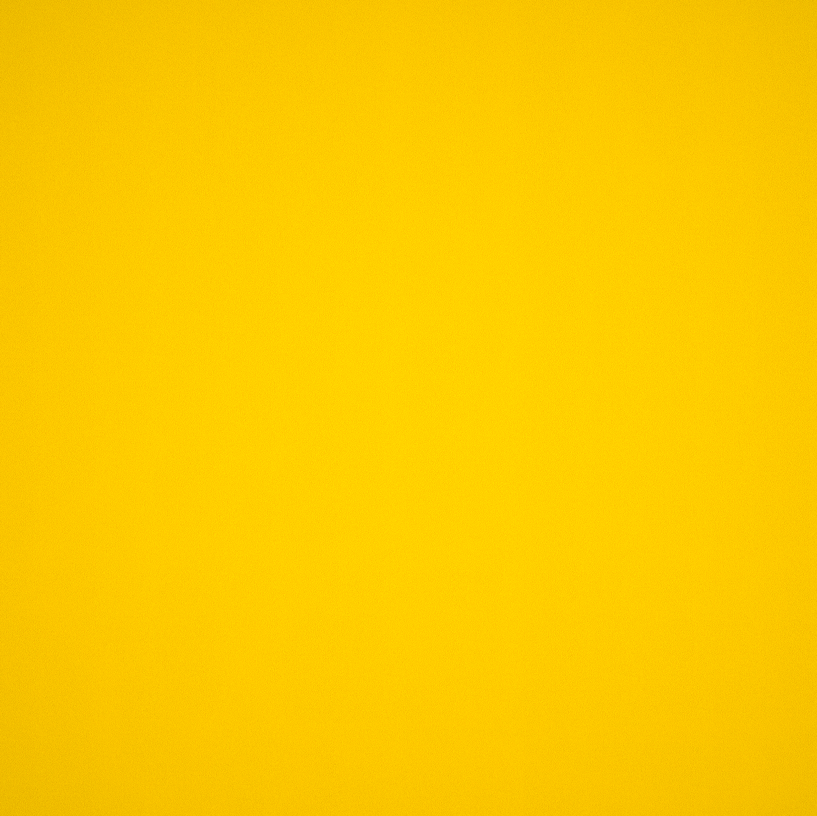 Elite Seamless Vulcanized Rubber Gym Flooring
