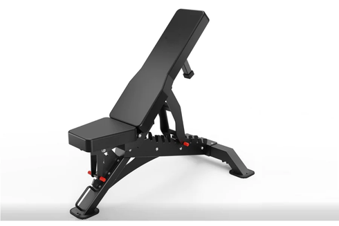 Warrior 201 Bench