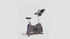 Life Fitness C3 Lifecycle Exercise Bike