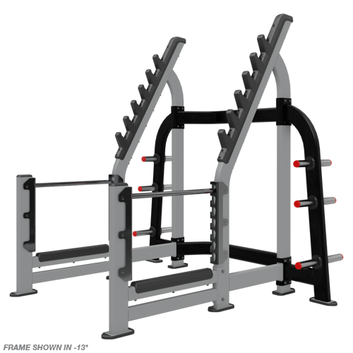 Nautilus Squat Rack
