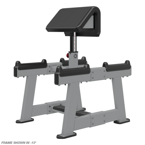 Nautilus Standing Preacher Curl