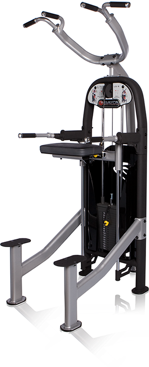 Batca LD-9 Link Weight Assisted Chin Dip
