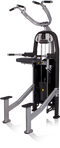 Batca LD-9 Link Weight Assisted Chin Dip