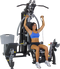 Batca Fusion 3 Personal Gym