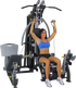 Batca Fusion 3 Personal Gym