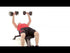 Marcy Steel Body Flat Bench | STB-10101