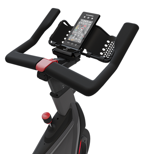 Schwinn Z Bike
