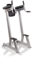 Batca FZ-9 Vertical Knee Raise/Dip